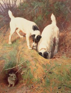 Noen hjemme? av Arthur Wardle