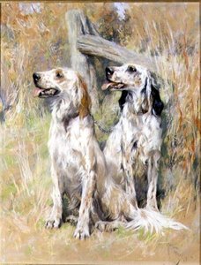 Engelske Setters av en Stile av Arthur Wardle