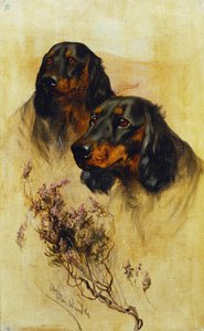 To Gordon Setters (olje på lerret) av Arthur Wardle