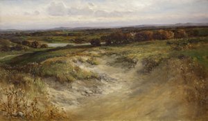 Landskap; tidligere brukt som bakgrunn i en Naturhistorisk montre