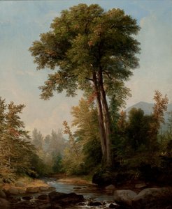 En naturlig monark av Asher Brown Durand