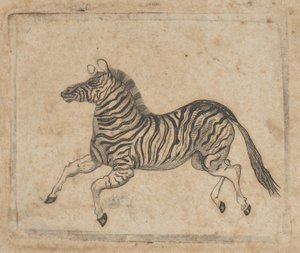 Seddelvignett som viser en sebra, ca. 1824-37.