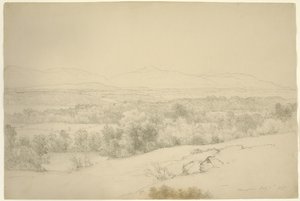 Landskap, Barrytown, New York, 1865 (grafitt med stumping på brunt papir)