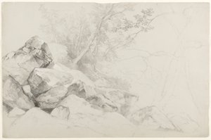 Study of Rocks with Trees, Haag, Lake George, New York, 1862 (grafitt på grått papir) av Asher Brown Durand