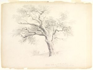 The Chestnut Oak på Hosack Estate, Hyde Park, New York med fem figurer og en kunstnerskisse, 1838 (grafitt på papir) av Asher Brown Durand