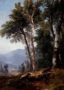 Skogslandskap, ca. 1850 (olje på lerret) av Asher Brown Durand