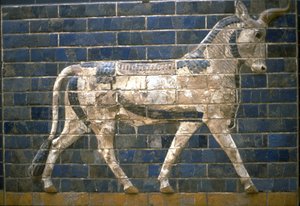 Ishtar-porten, Babylon. Relieff av okse, 600-tallet f.Kr