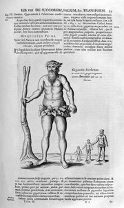 Antidiluvianske kjemper, 1678.
