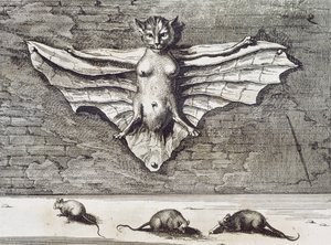 Flyvende katt, 1667 av Athanasius Kircher