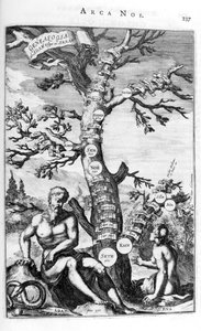 Adams slektstre, 1675. av Athanasius Kircher