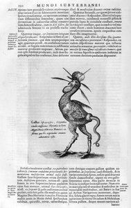 Mytiske skapninger, 1678. av Athanasius Kircher