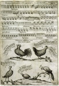 Sangen utgitt av visse flyktige stoffer uttrykt av musikalske noter etter: "Musurgia Universalis" av Athanasius Kircher av Athanasius Kircher