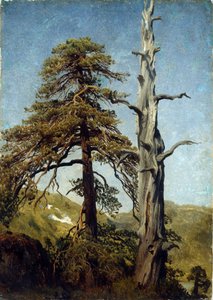 ""Studie av trær, Norge"" Maleri av August Cappelen (1827-1852) 1850 Nasjonalmuseet for kunst, Oslo, Norge