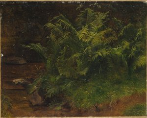 Studie av bregne (olje på lerret)
