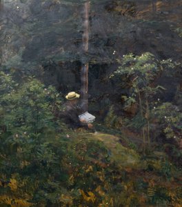 Skog interiør