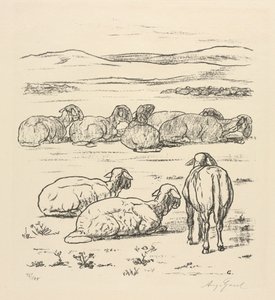 Sau av August Gaul