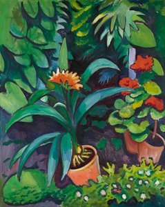 Blomster i hagen, kliviaer og pelargonier av August Macke