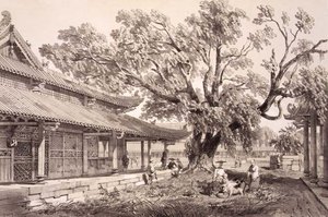 Buddha-tempelet i Honan-forstedene i Canton, plate 24 fra 