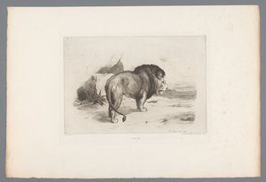 Løve Un vieux lion (tittel på objekt) Franske etsninger fra 1874 (serietittel) L
