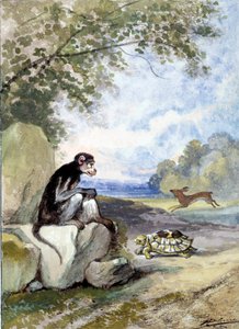 Illustrasjon av fabelen "Haren og skilpadden"" av Jean de La Fontaine. Akvarell av Auguste Delierre (1829-c.1890)
