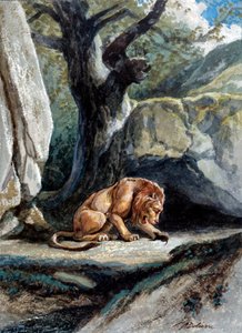 Illustrasjon av fabelen "Løven og rotten"" av Jean de La Fontaine. Akvarell av Auguste Delierre (1829-c.1890)