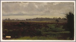 Marshlands, midten av 1850-tallet (olje på papir)