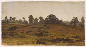 View of a Field, tidlig på 1850-tallet (olje på papir)