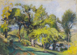 Kastanjetrær over en elv av Auguste Lepere