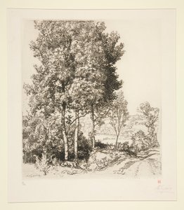 La vall?e du Petit Morin pr?s de Verdelot (Seine-et-Marne) (lille Morin-dalen nær Verdelot [Seine-et-Marne]) av Auguste Lepere