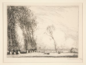 Curtain of Poplars (Vendee) av Auguste Lepere