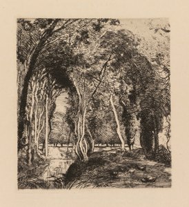 Auguste Lepère: Undervekst, ved Rigonette Vendèe. av Auguste Louis Lepère