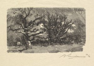 Fontainebleau-skogen: Au dormoir de Lantara (La Forêt de Fontainebleau: Au dormoir de Lantara) av Auguste Louis Lepère