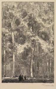Fontainebleau Forest: Morning, Crossroads of the Route of the Forts de Marlotte..., 1890. av Auguste Louis Lepère