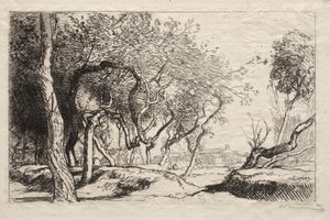 The Twisted Tree, 1915. av Auguste Louis Lepère