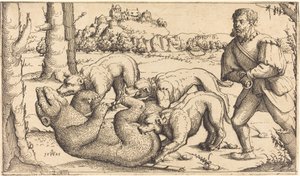 Bjørnejakt, 1545.
