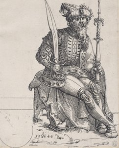 Maximilian I, fra Herberstain, Rerum Muscoviticarum Commentarii, 1546. av Augustin Hirschvogel