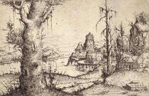 S.9-1993 Elvelandskap med et kraftig tre av Augustin Hirschvogel