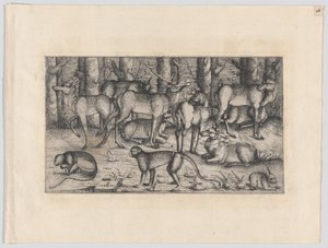 Hjorter i skogen, 1545. av Augustin Hirschvogel