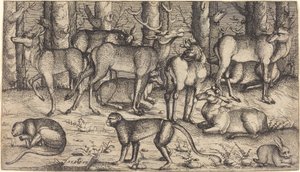 Hjorter i skogen, 1545. av Augustin Hirschvogel