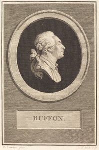 Buffon av Augustin de Saint Aubin after Piat Joseph Sauvage