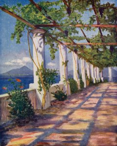 Pergola (farge litho)