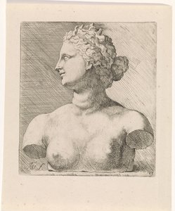 Byste av Venus de' Medici, og profil til venstre Studier for en bok med tegninger etter klassiske skulpturer og figurer av Anthony van Dyck (serietittel)