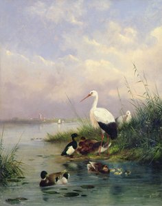 En familie av stokkand, to storker og en familie med tufteender (par 77886) av Augustus Knip