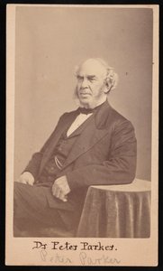 Portrett av Peter Parker 1804-1888, 1869. av Augustus Marshall