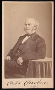 Portrett av Peter Parker 1804-1888, 1869. av Augustus Marshall