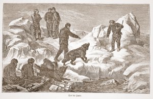 Jakt med hunder, 1876 av Austrian School