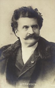 Portrett av Johann Strauss II av Austrian School