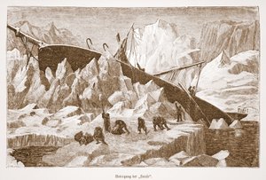 Hansaens forlis, 1876 av Austrian School