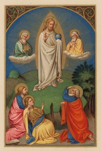 Transfiguratio D N J Chr (chromolitho) av Austrian School
