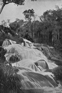 Foss på Rio Dourado Lencoes, 1895